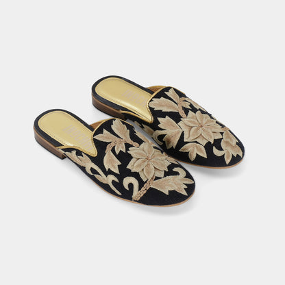 ASSA MULES